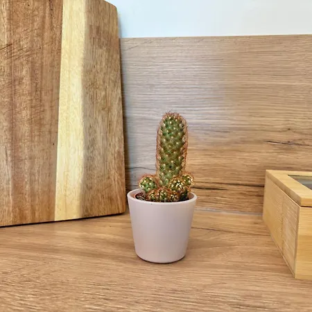 Gemütliches City-nest Mit Wlan Apartamento